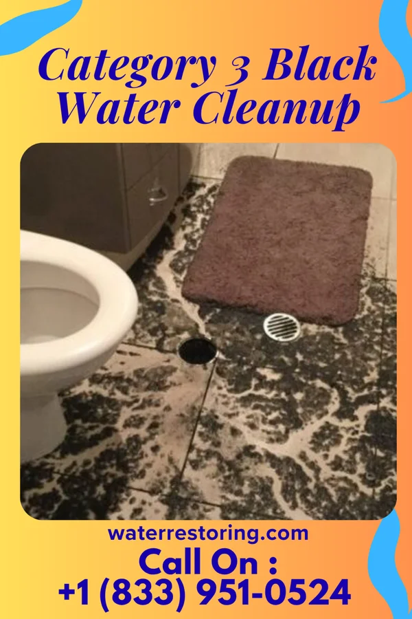 Category 3 Black Water Cleanup in Peosta, IA
